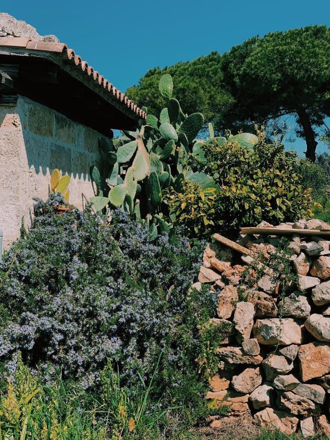 알리스테 Trullo Contrada Stracca 게스트하우스 외부 사진