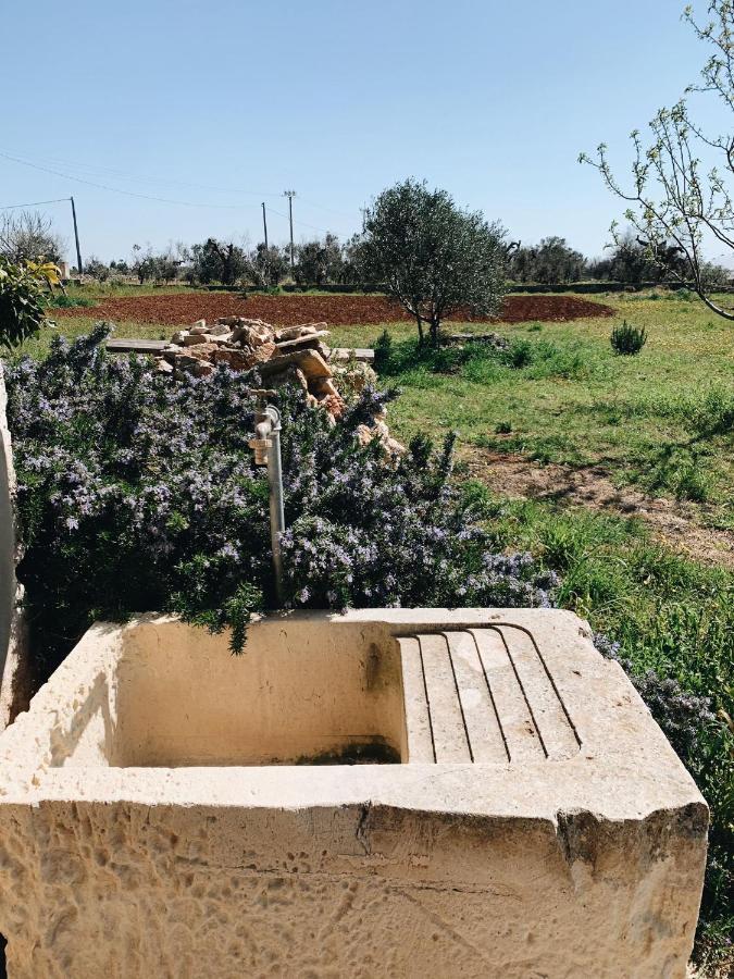 알리스테 Trullo Contrada Stracca 게스트하우스 외부 사진