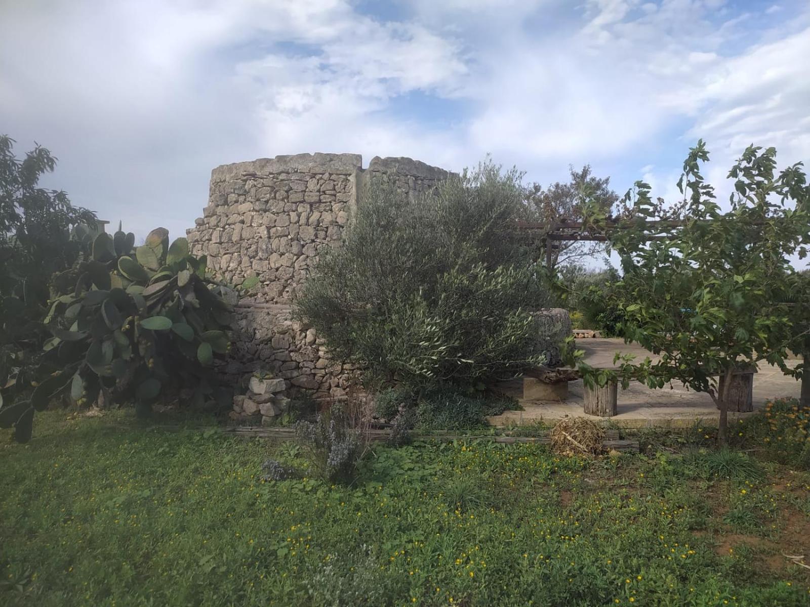 알리스테 Trullo Contrada Stracca 게스트하우스 외부 사진