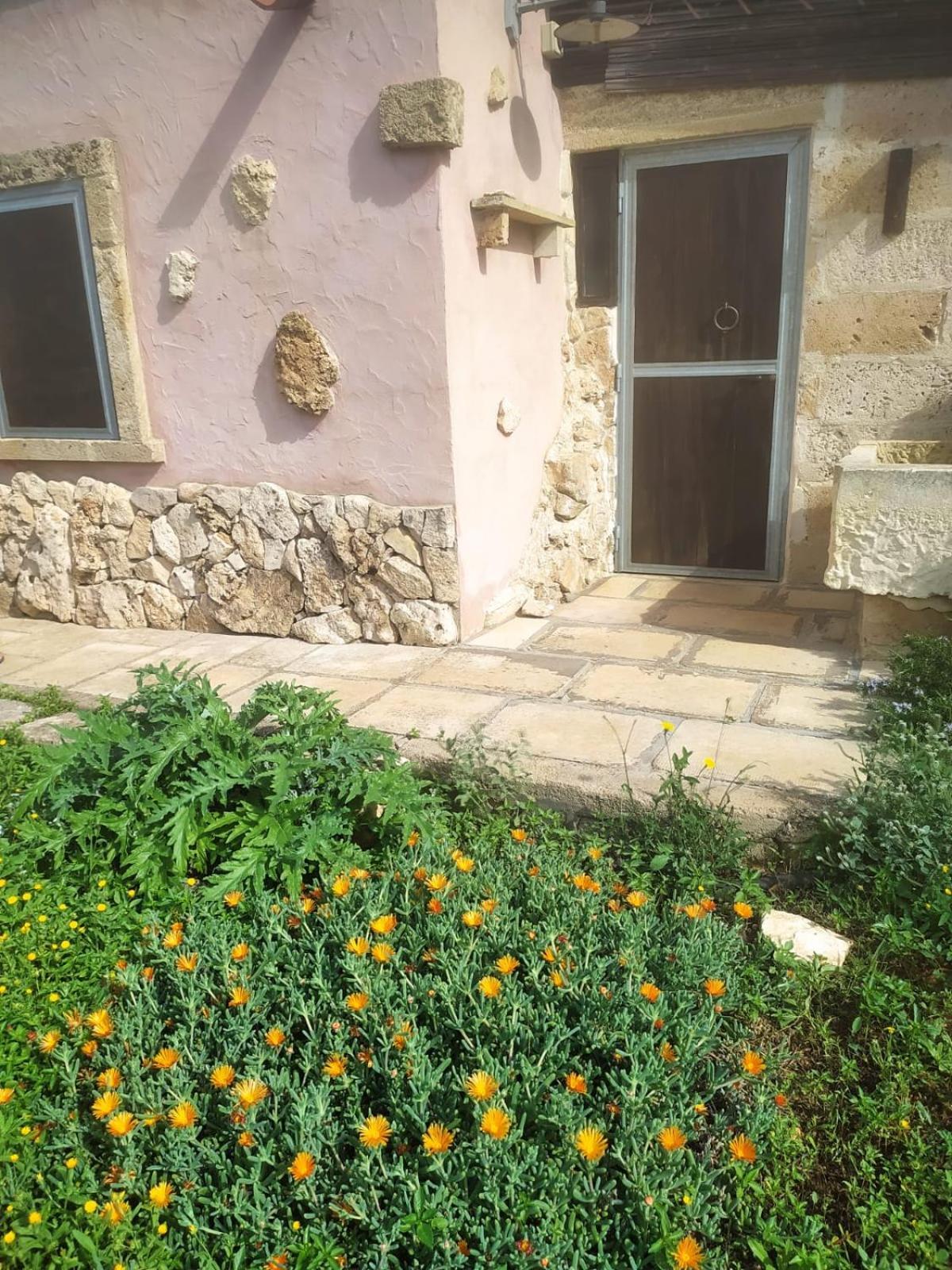 알리스테 Trullo Contrada Stracca 게스트하우스 외부 사진